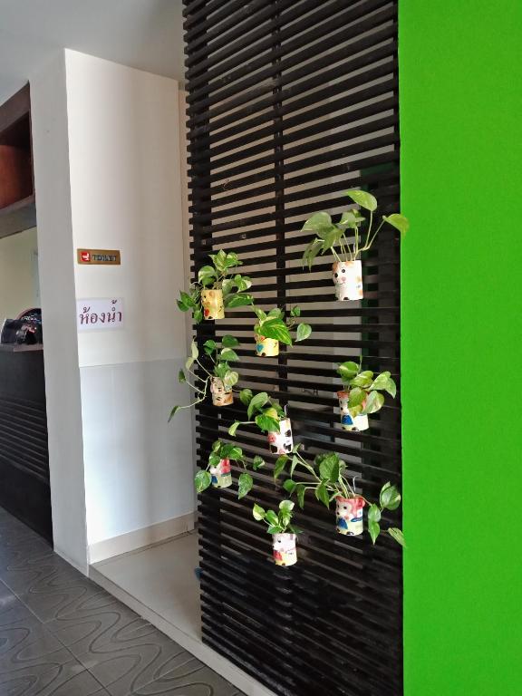 Baanpak Sam Anong - Resim 23