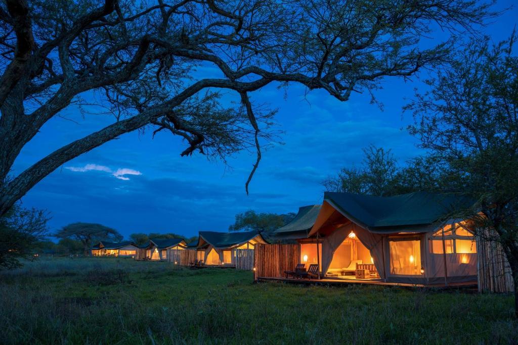 eine Reihe von nachts erleuchteten Lodges in der Unterkunft Asanja Moru in Serengeti-Nationalpark