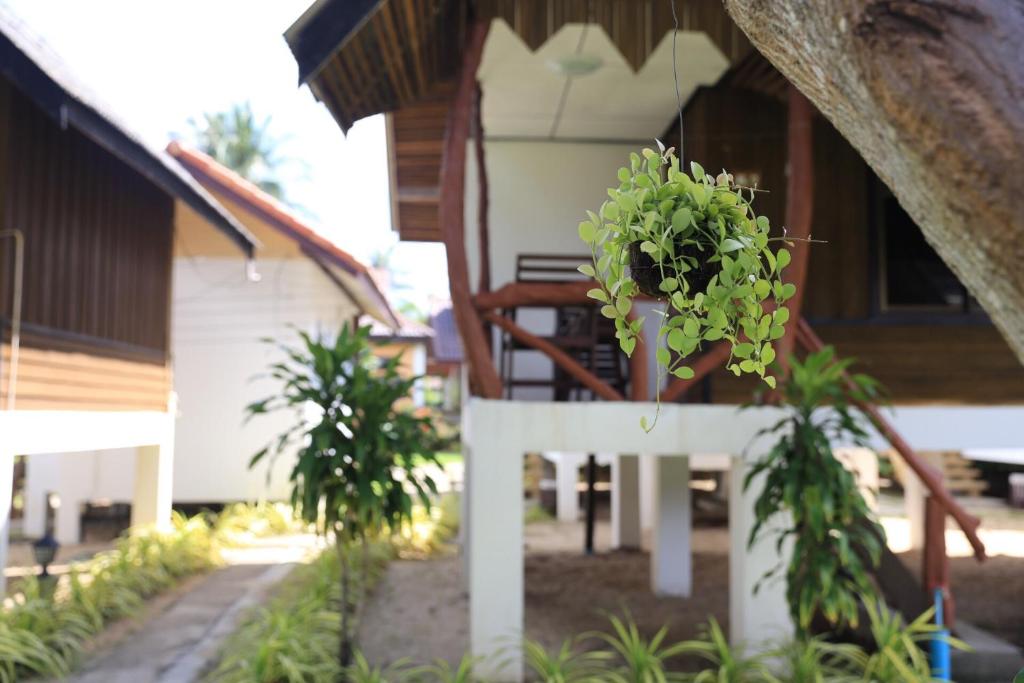 Zahrada ubytování Shangrilah Bungalow