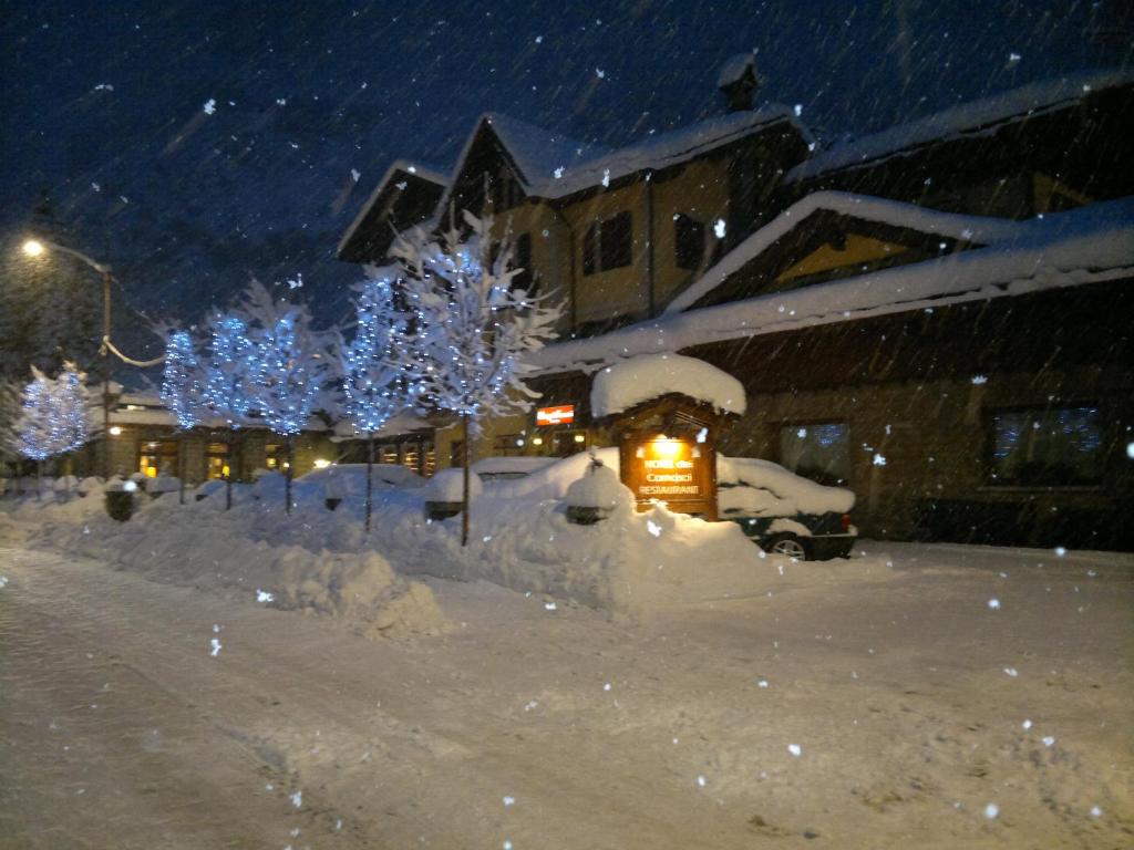a yard covered in snow with trees and lights at Hotel Dei Camosci in Courmayeur