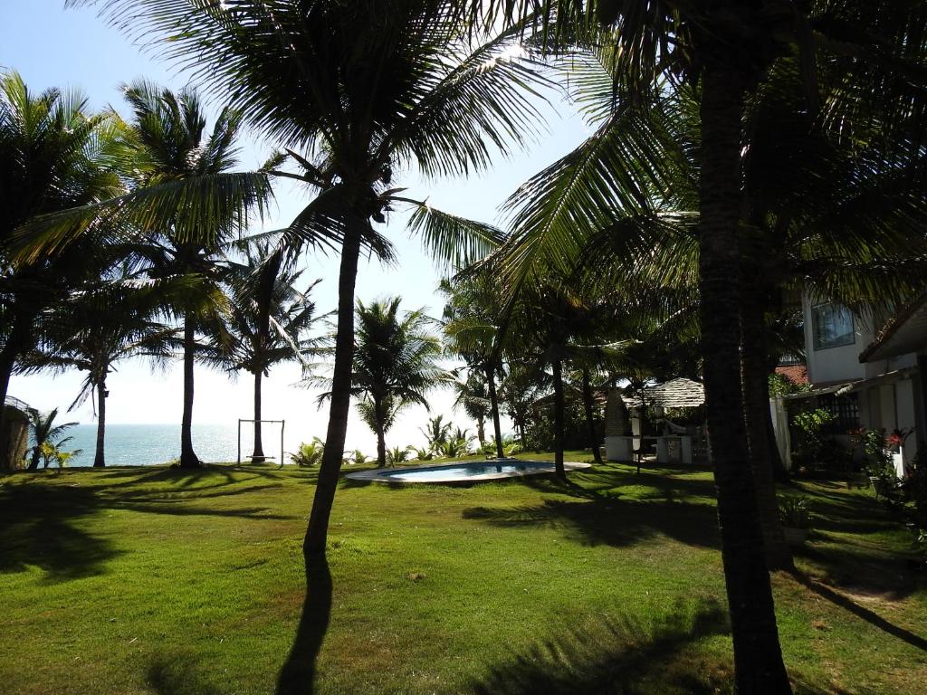  Meu Paraíso. Pipa