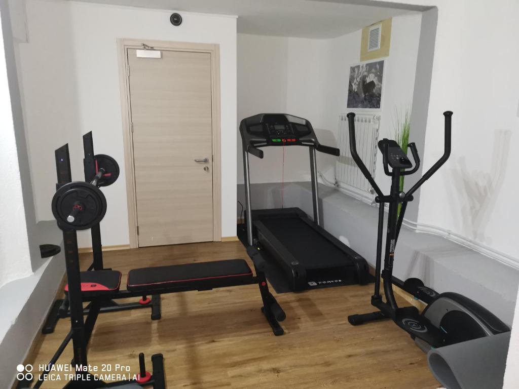 Posilňovňa alebo fitness centrum v ubytovaní Hotel Tarvisio Four Seasons