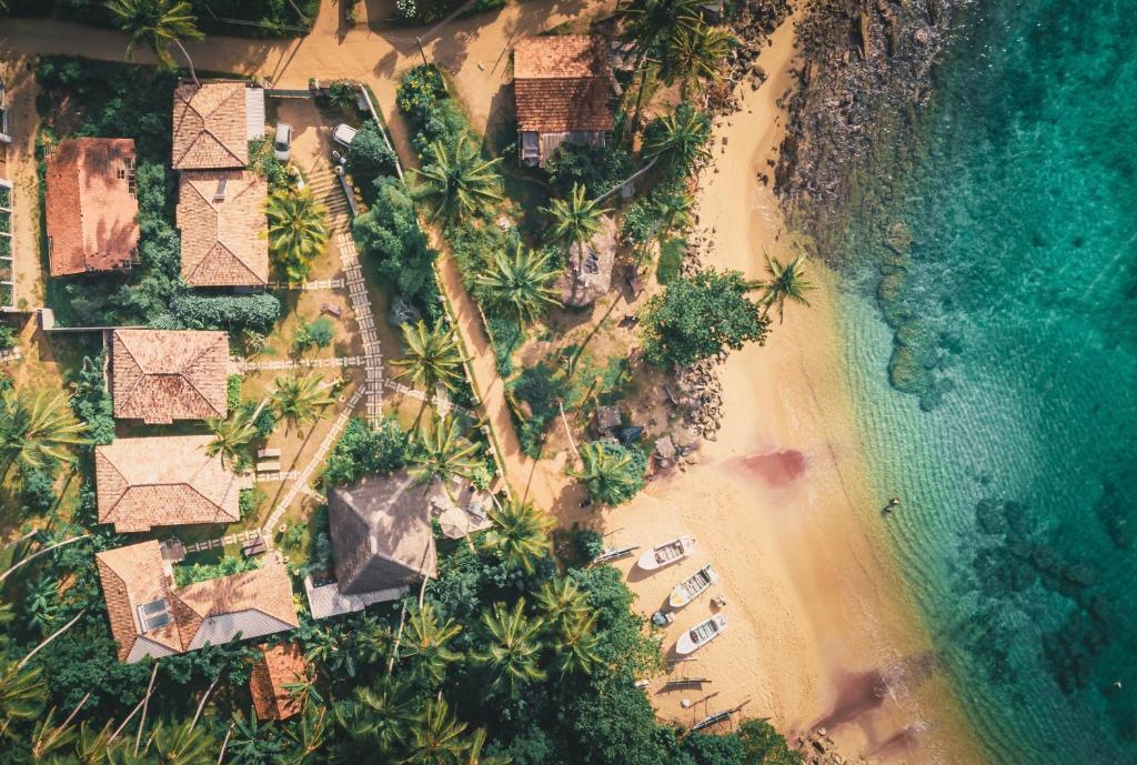 eine Luftblick auf einen Strand mit Palmen und das Meer in der Unterkunft Aga Surf View in Tangalle