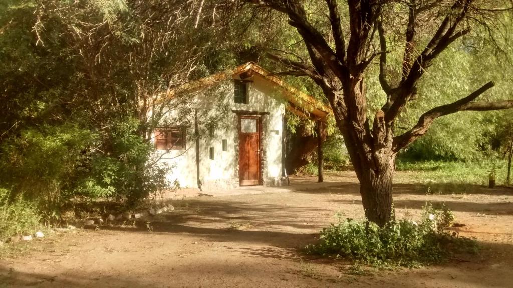uma casa velha com uma porta vermelha ao lado de uma árvore em Casita Los Retoños en San Marcos Sierras em San Marcos Sierras