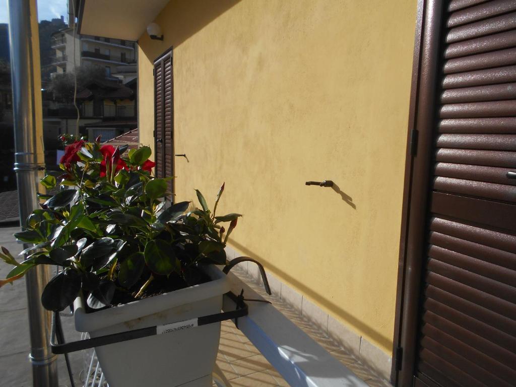 Fotografie z fotogalerie ubytování Appartamento mare e monti Two v destinaci Pimonte