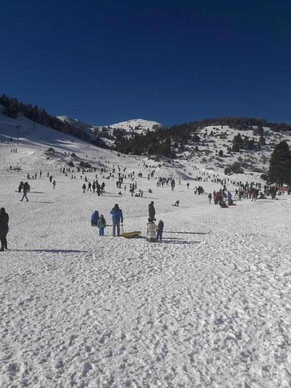 Xenonas Epavli during the winter