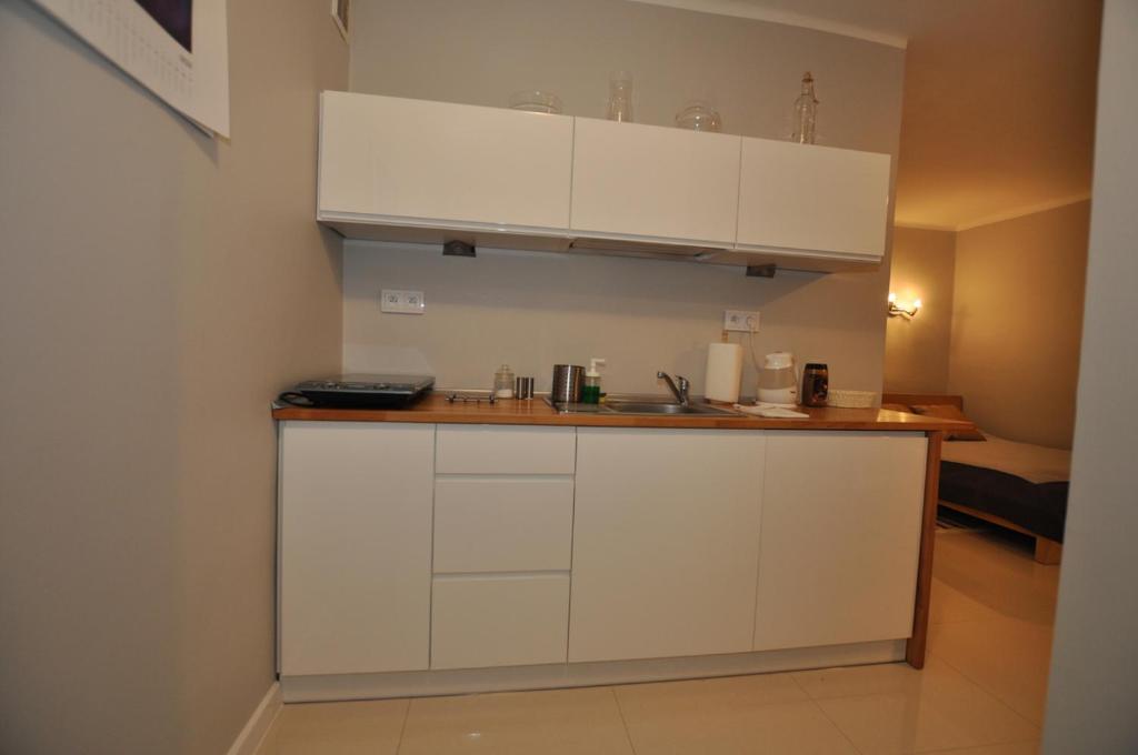 Kuchyňa alebo kuchynka v ubytovaní Apartament pod Jasną Górą