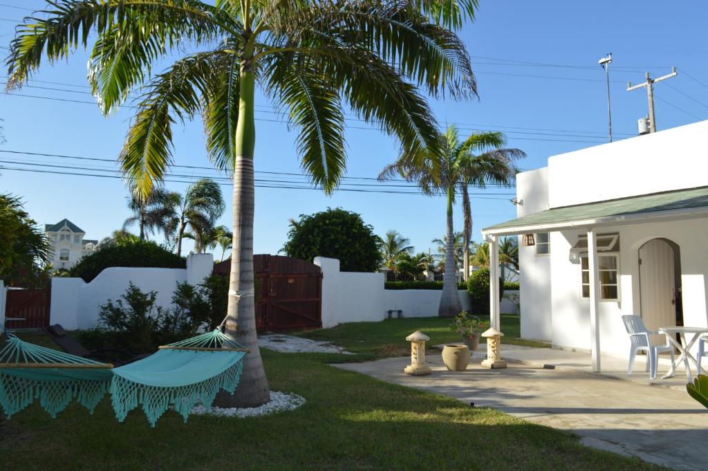 a backyard with palm trees and hammocks at Royal Palms Apartment - Sweet Jewel Apartments in Christ Church