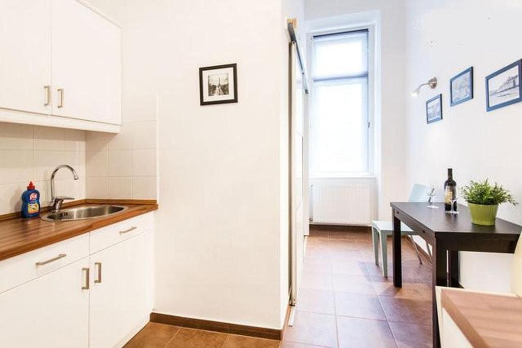 Kuchyňa alebo kuchynka v ubytovaní Private Apartment Centertown