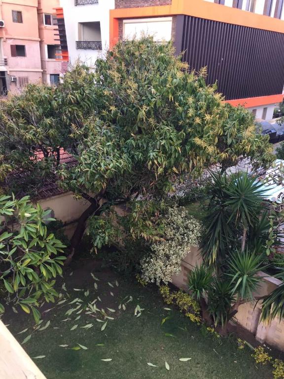 A garden outside Maamoura Beach Zahraa Apartment 9/206
