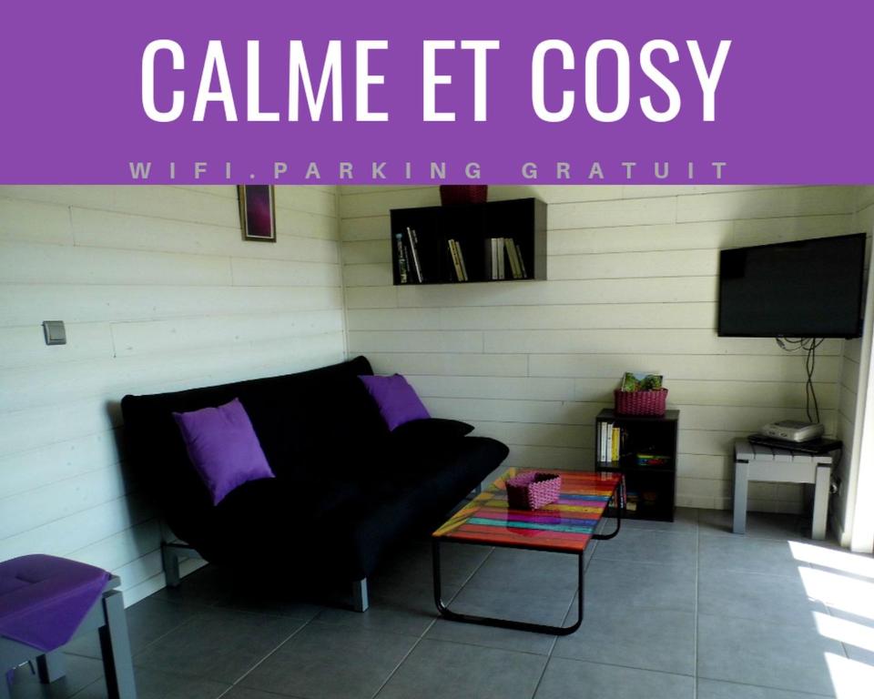a living room with a couch and a tv at Joli petit T2 calme au bord de leau in Vieille-Brioude