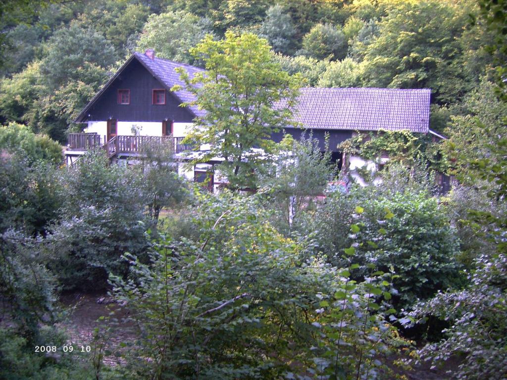 una casa in mezzo a una foresta di Neumühle a Lutzerath