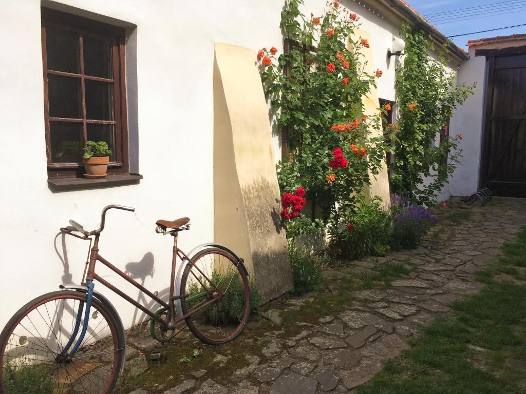 Jízda na kole v ubytování Habánský dům nebo okolí