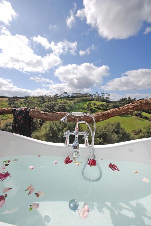Bazén v ubytování Freshwaterfarm Cottages - Muriwai nebo v jeho okolí