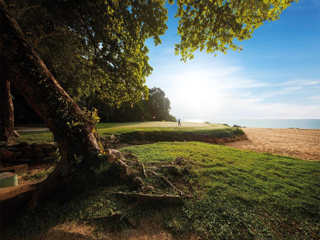 a tree sitting on the grass next to the beach at Resorts World Kijal in Kijal