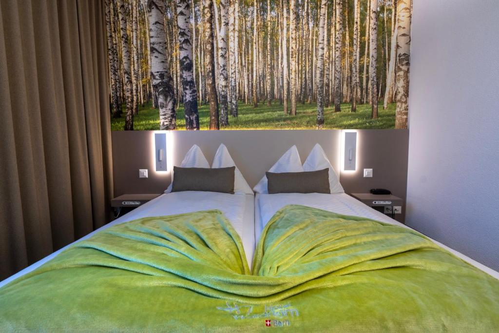 Hotel Waldhorn - Resim 9