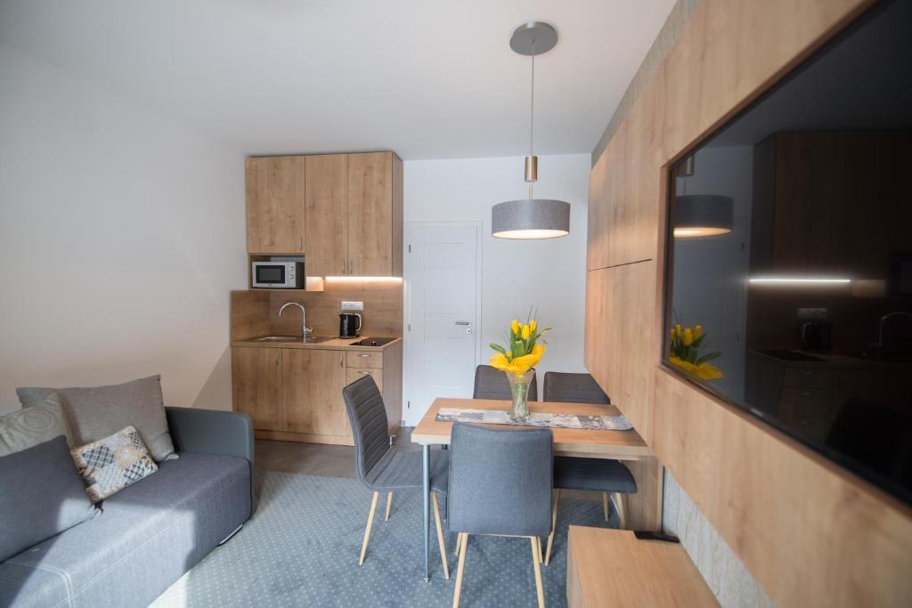 Kuchyň nebo kuchyňský kout v ubytování ff apartments Jasná Lúčky