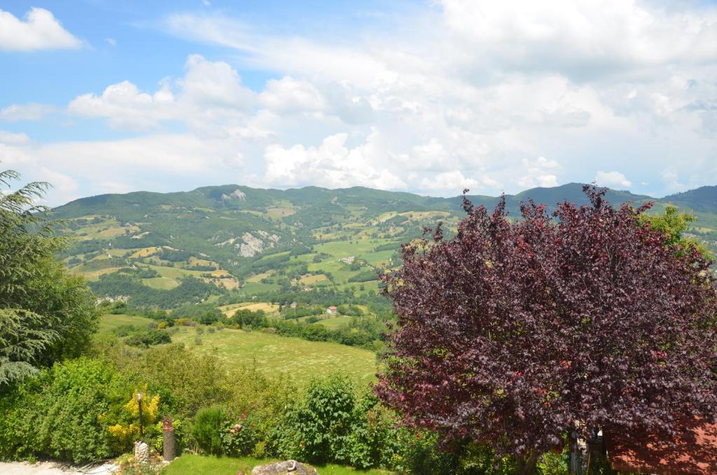 B&B La Terrazza Del Subasio - 13