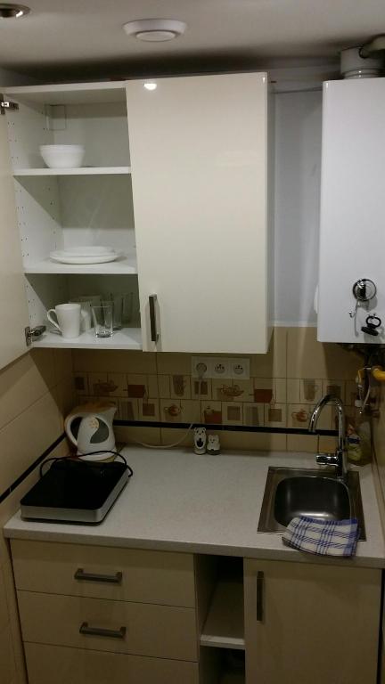 Kuchyňa alebo kuchynka v ubytovaní Apartament u Janka