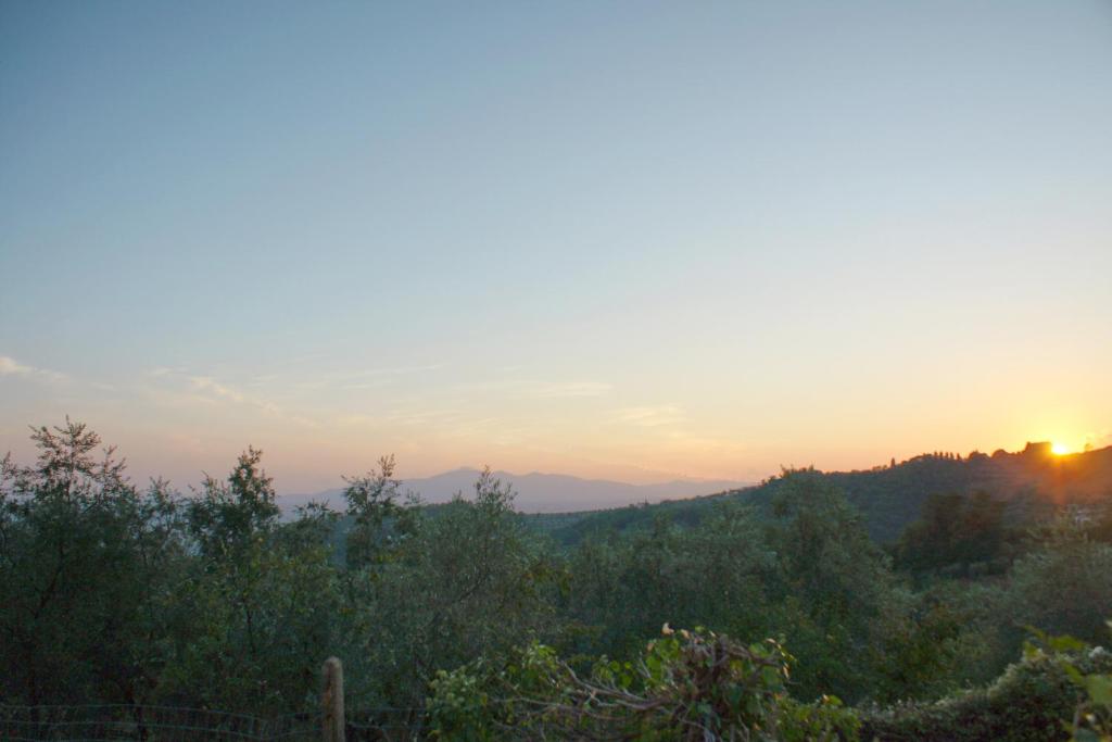 il Podere La Casina - Appartement - Rez-de-chaussée