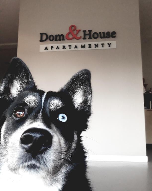 Dom & House - Apartments Waterlane Island - Resim 13