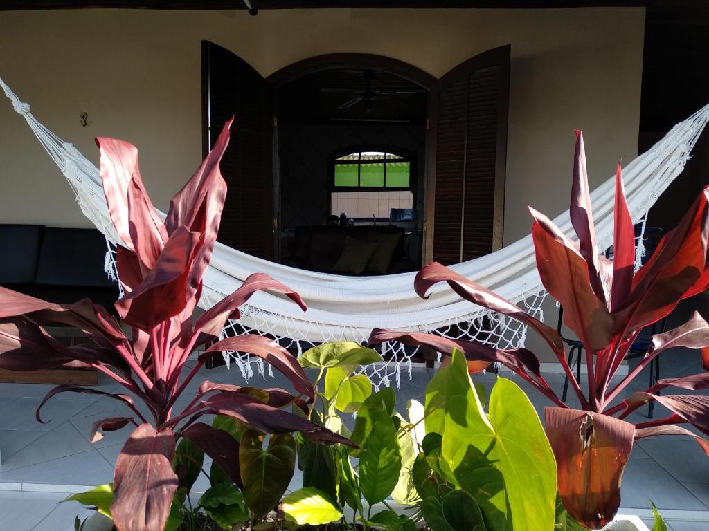 a hammock in a room with plants at Casa na praia in Itapoa
