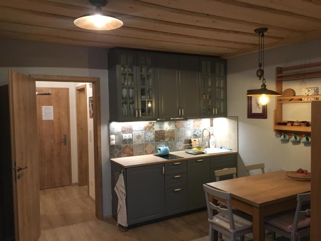 Kuchyň nebo kuchyňský kout v ubytování Apartmán u svahu Dolní Morava