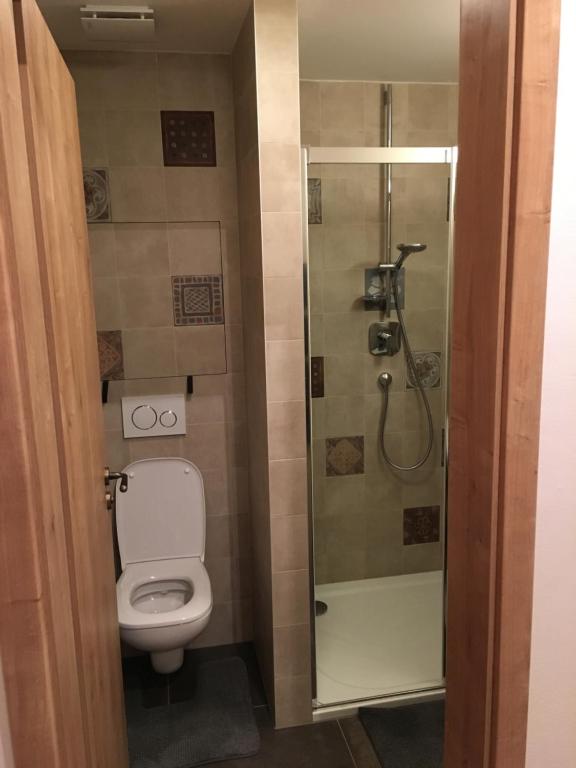 Koupelna v ubytování Apartmán u svahu Dolní Morava