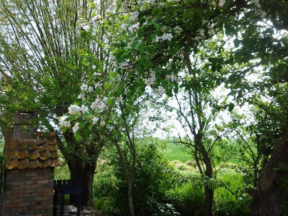 Zahrada ubytování B&B Het Schaliënhof
