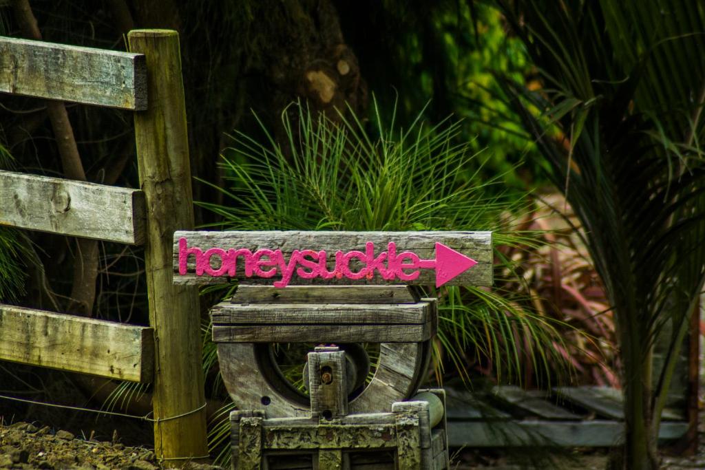 Fotografie z fotogalerie ubytování Freshwaterfarm Cottages - Muriwai v destinaci Waimauku
