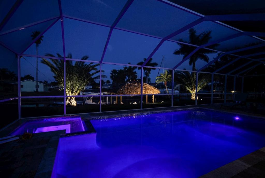 ein Pool in der Nacht mit violetten Lichtern in der Unterkunft Majestic Palms in Cape Coral