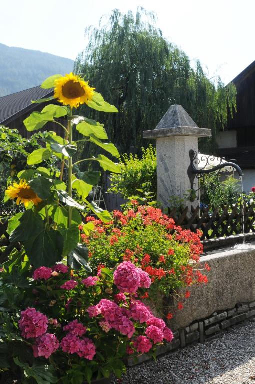Zahrada ubytování Residence Obermoarhof - Family Apartments with Pool & Playground