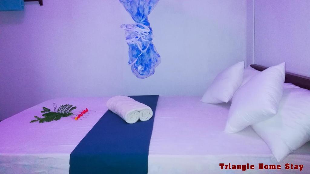 Postel nebo postele na pokoji v ubytování Triangle Home Stay