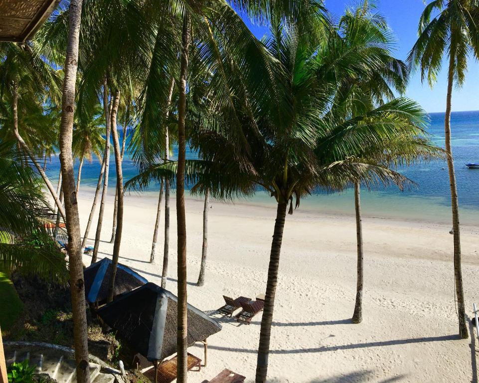 a beach with palm trees and a boat on it at Anda White Beach Resort in Anda