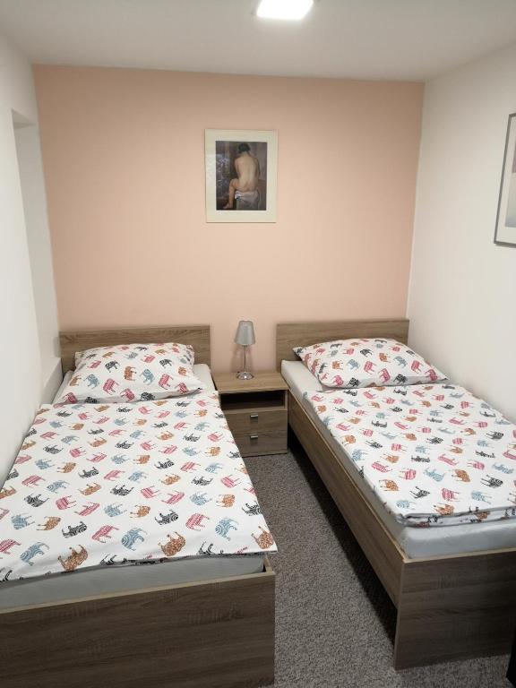 Łóżko lub łóżka w pokoju w obiekcie Apartmans Les