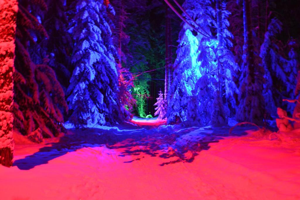 Вуокса-Хутор - отзывы и видео