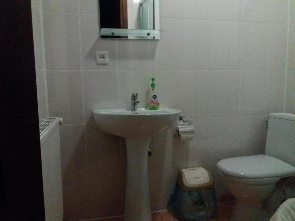 Koupelna v ubytování Hotel Dudarik
