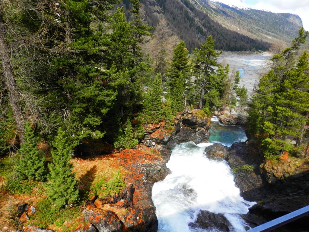 an aerial view of a river in a forest at Palazzo Mysanus Samedan in Samedan