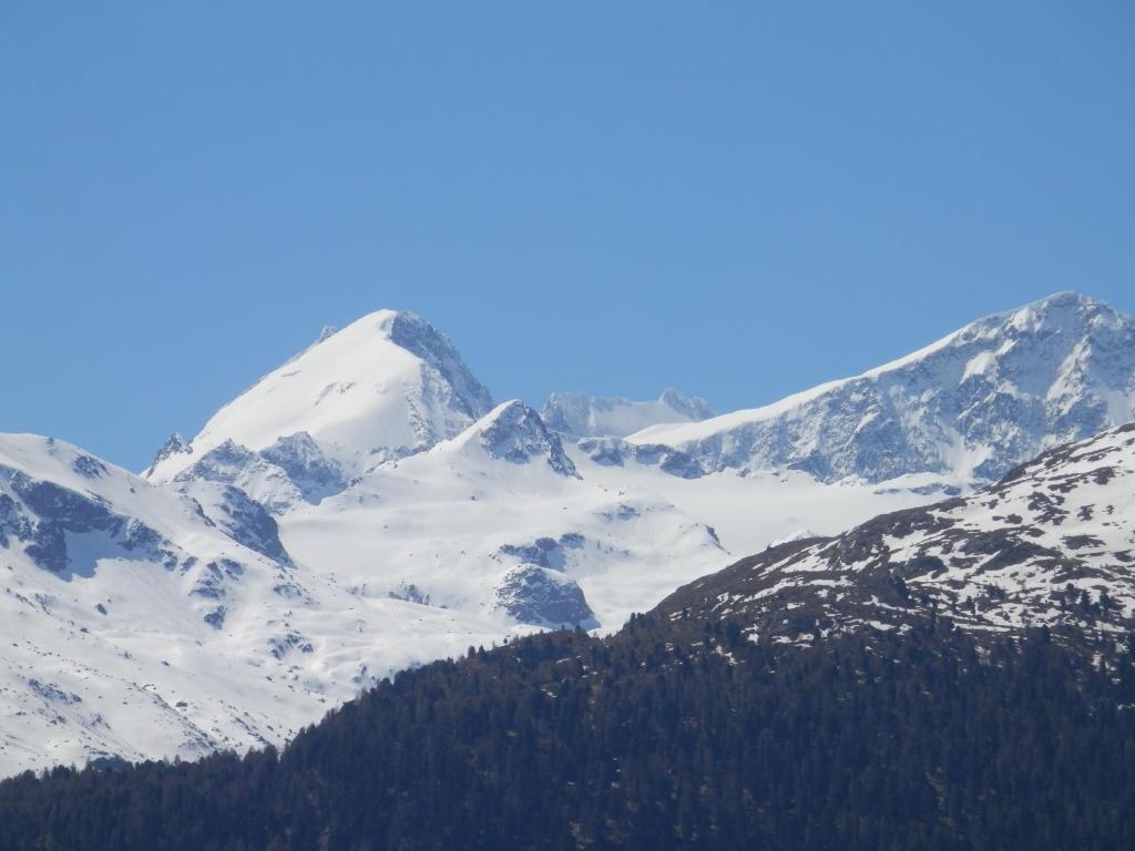 a snow covered mountain range with trees in the foreground at Palazzo Mysanus Samedan in Samedan
