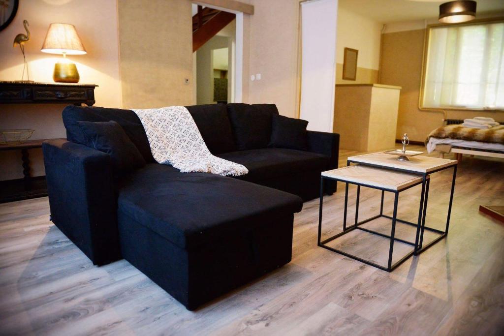 uma sala de estar com um sofá preto e uma mesa em La Meunière em Saint-Martin-Boulogne