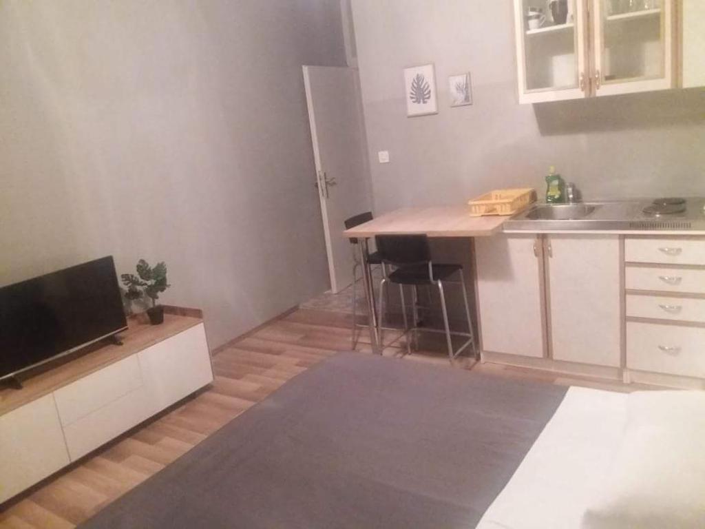 Kuchyň nebo kuchyňský kout v ubytování Apartments Danijela