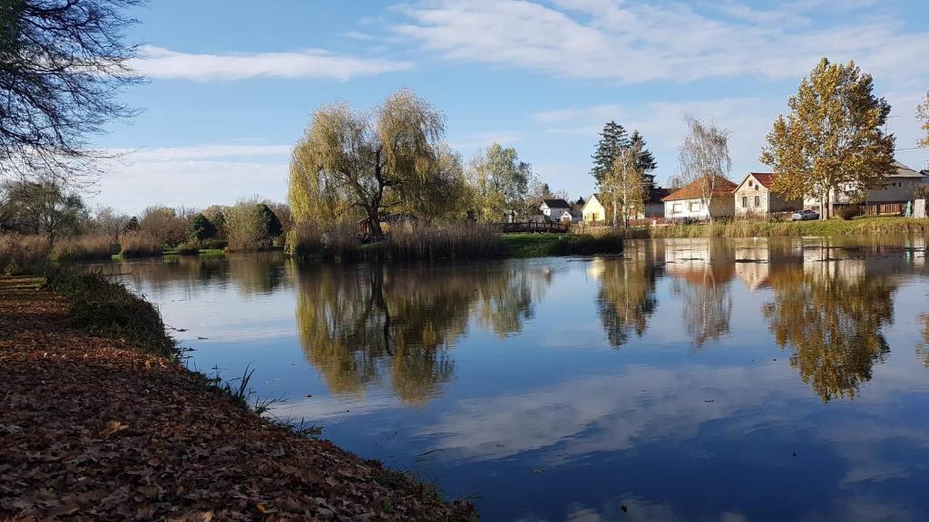 vistas a un río con casas y árboles en Kerka-Völgyi Vendégház, en Kerkaszentkirály