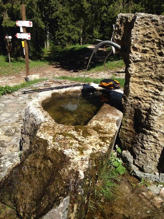 Fotografia z galérie ubytovania CASA MIFEL -- APP. GERANIO v destinácii Folgaria