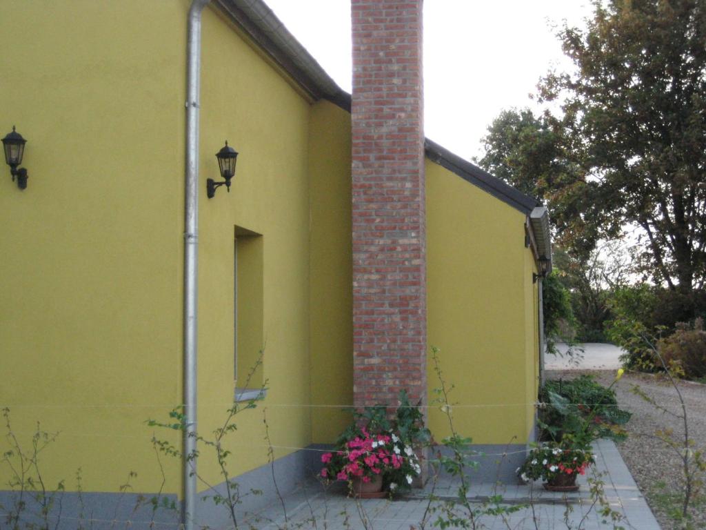 Zahrada ubytování B&B Het Uilennest