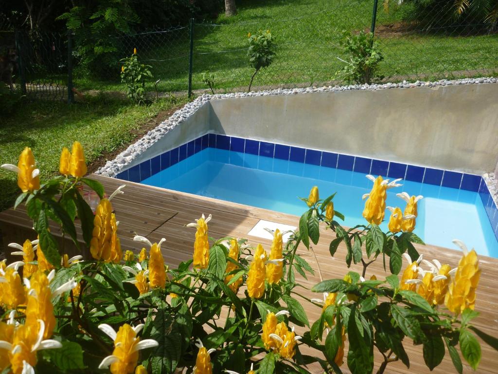 una piscina en un jardín con flores amarillas en Chalet en bois en Saint-Claude