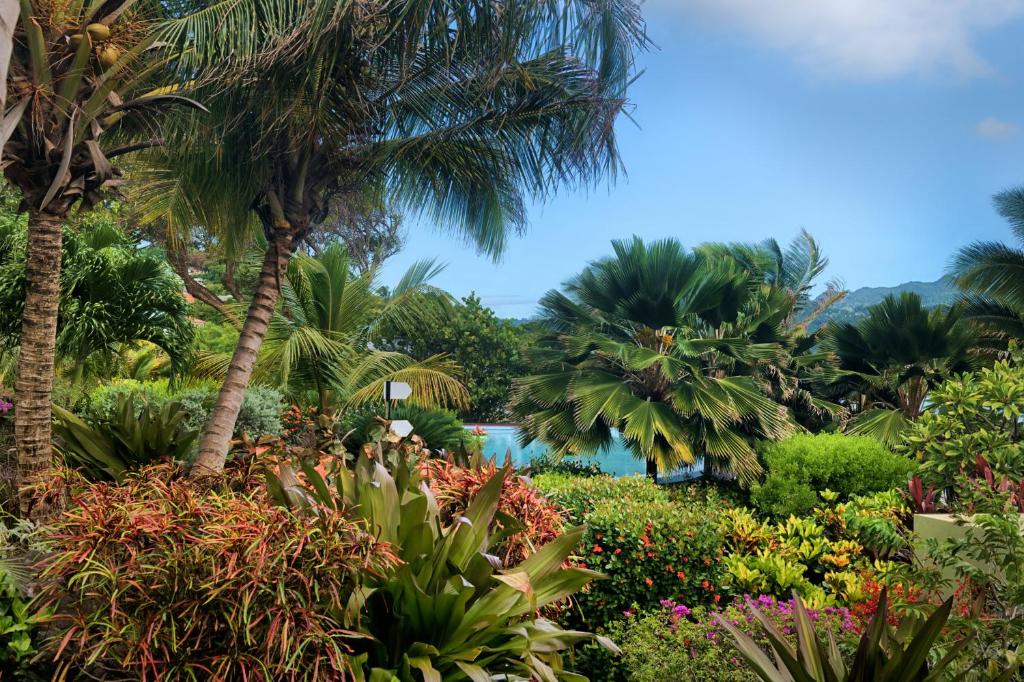 Zahrada ubytování 473 Grenada Boutique Resort