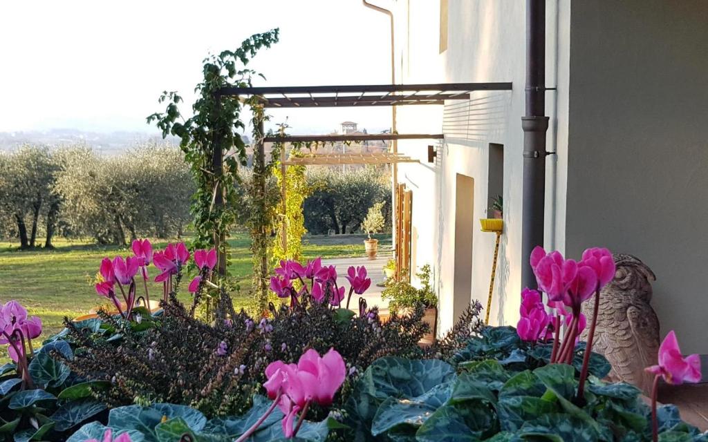 A garden outside Podere agli Arrighi