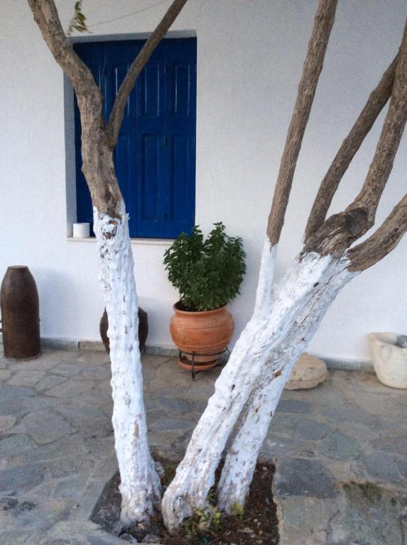 Fotografie z fotogalerie ubytování Anixi v destinaci Astypalaia