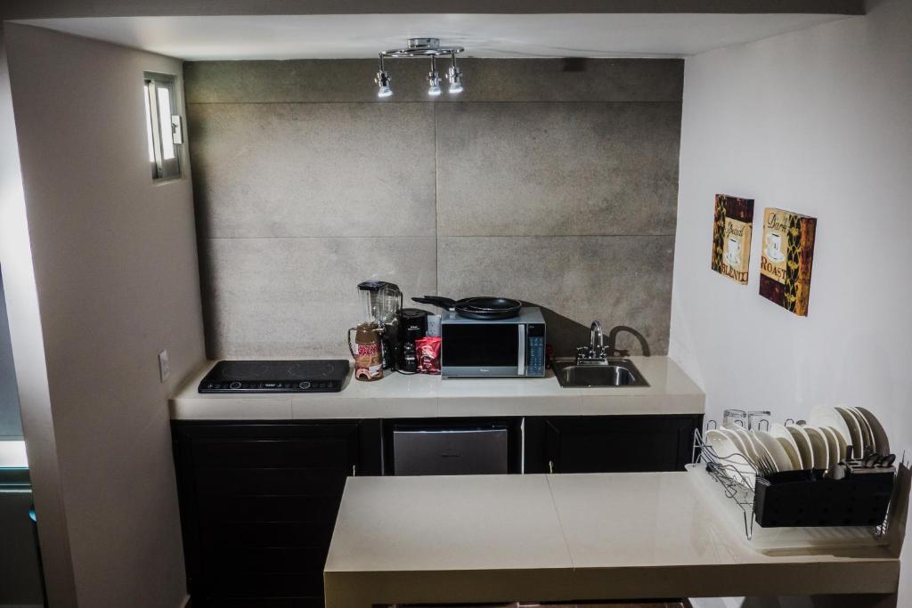 Kuchyň nebo kuchyňský kout v ubytování HOTEL CAREYES
