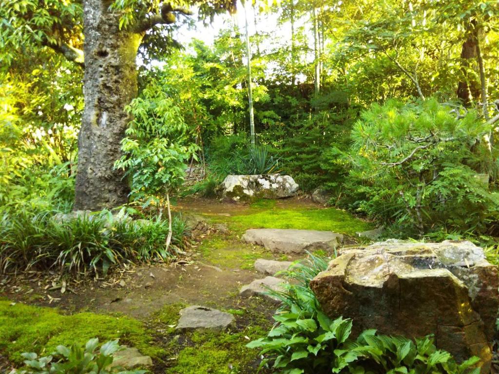 Kamitakai-gun - House / Vacation STAY 12362 في Takai: حديقة فيها صخور وشجر واشجار